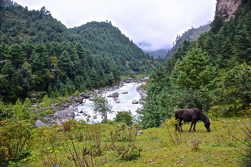 a scenic horse in front of a creamy blue river
