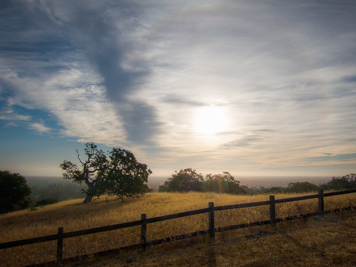 california blue light sunset shadow sky color tree grass silhouette clouds fence golden cloudy hill lensflare paloalto stanforddish