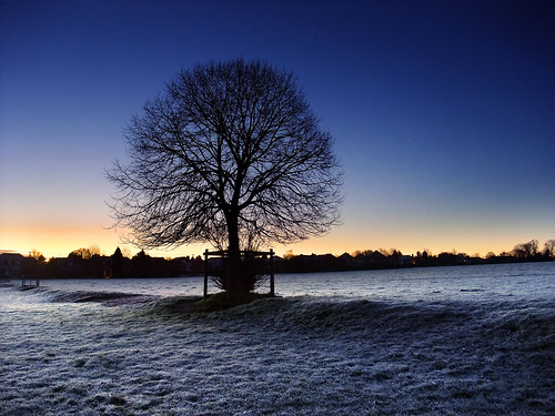 winter england cold tree sunrise dawn twilight frost january freezing frosty hampshire clear common basingstoke brassmonkeys 2011 oldbasing loddonvalley basingstokecommon pwwinter