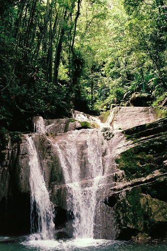 analog 35mm mexico waterfall fuji jungle superia400 filmphotography av1 xilitla edwardjames