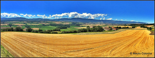 blue summer sky panorama nature switzerland cornfield panoramic chavornay