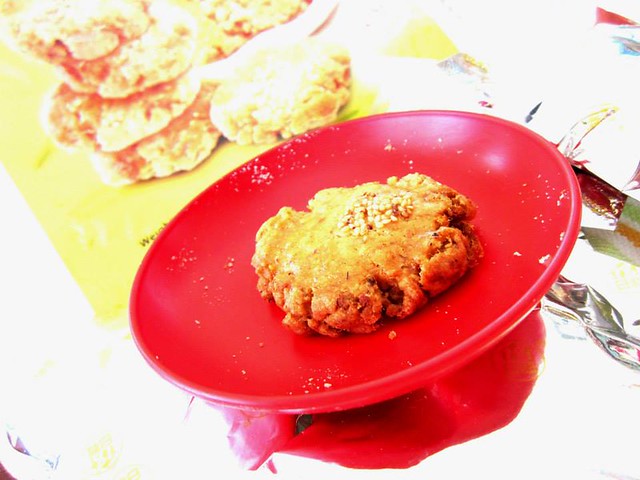 Flossy chicken biscuit 2