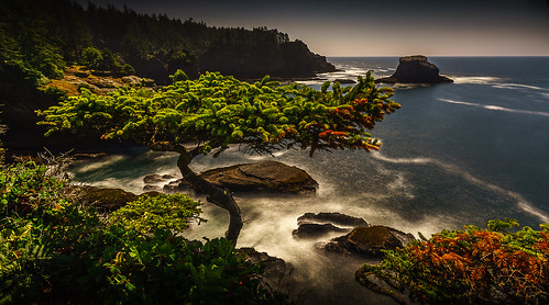 zeiss landscape washington beaches bonsai olympicnationalpark capeflattery landscapephotographer distagont bitchinlight distagon15mm ericthomsonphotography