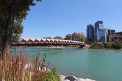 The peace bridge Calgary