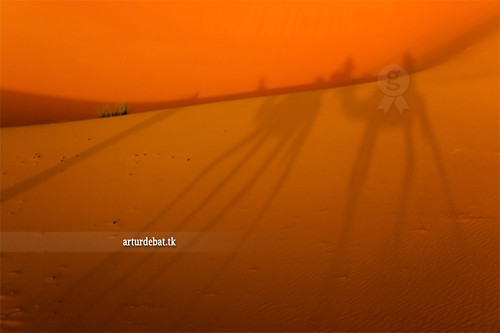 africa trip travel light sunset shadow brown beauty wow amazing nice interesting sand holidays long tour ride desert legs superb magic awesome dune great dry route riding camel morocco berber stunning land viatge moment vacations impressive gettyimages ligh merzouga firstpersonview ergchebbi arturii arturdebattk erfouda “canonoes6d”