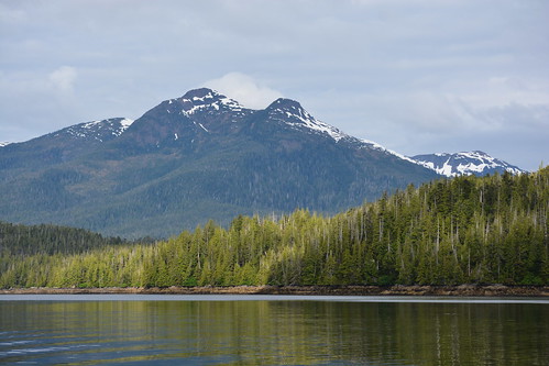 mountain mountains alaska landscape nikon ketchikan 2014 nikongp1 nikond7100 coastalwildlifecruise