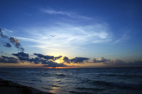 ocean sky sun beach water clouds sunrise mexico mayanriviera playacar