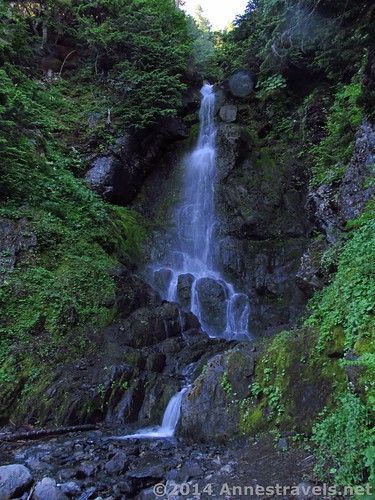 Waterfall at the creek crossing on the Heliotrope Divide Trail, Mount Baker-Snoqualmie National Forest, Washington