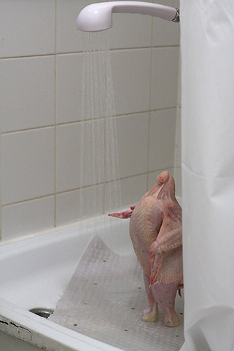 chicken shower.jpg