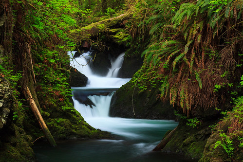 waterfall washington rainforest unitedstates olympicpeninsula quinault olympicnationalforest