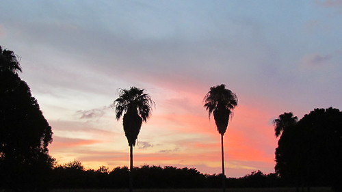 sky colors beautiful sunshine clouds evening texas shadows silhouettes sunsets palmtrees