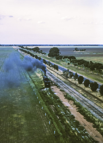 film landscape transport tracks australia slide trains victoria scan steam vic kodachrome agriculture halfframe aus olympuspen railways filmscan mallee 16bit wycheproof kodachromeii canonpixmamg8150