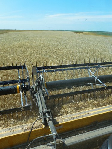 From the combine cab