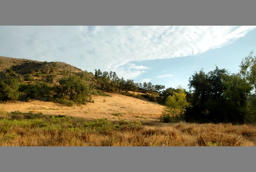 california summer digital photo afternoon meadow irvine limestonecanyonwildernesspark irvineranchnaturallandscapes