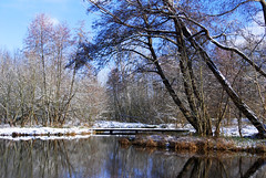 Mussonville park in winter