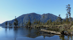 Lake Brunner, Swan Bay & Mt Te Kinga