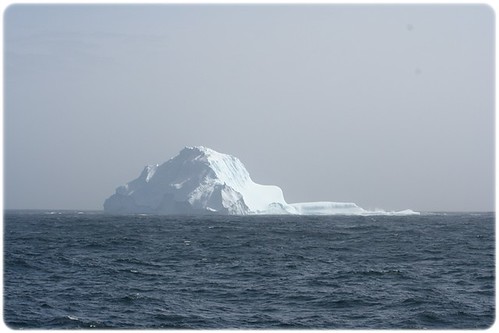 First Iceberg (7)