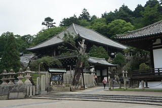 Templo de Nigatsudo