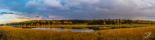 autumn trees sky canada storm clouds landscape pano country 124 alberta drewmayphotography