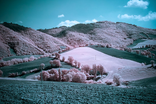 longexposure italien trees summer italy landscape ir infrared fujifilm marche semester 2014 falsecolour r72 fossombrone xpro1 hoyairfilter fujinonxf35mm invertedcolorchannels