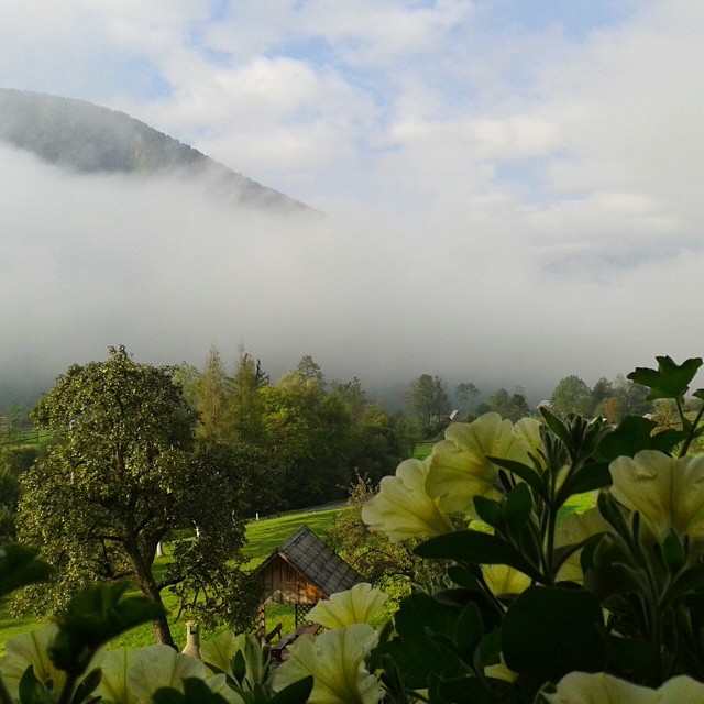 Morning mist from our balcony. Beautiful Slovenia