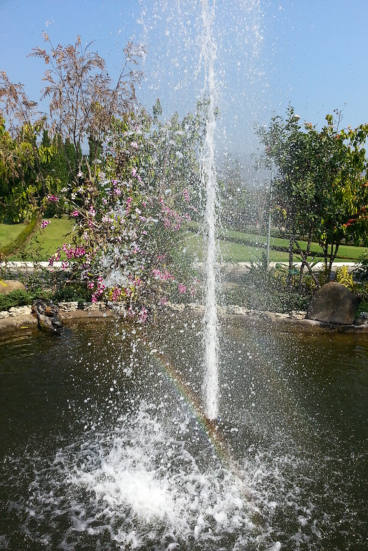 the fountain and the rainbow
