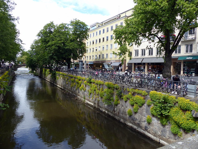 A short sprint in Uppsala