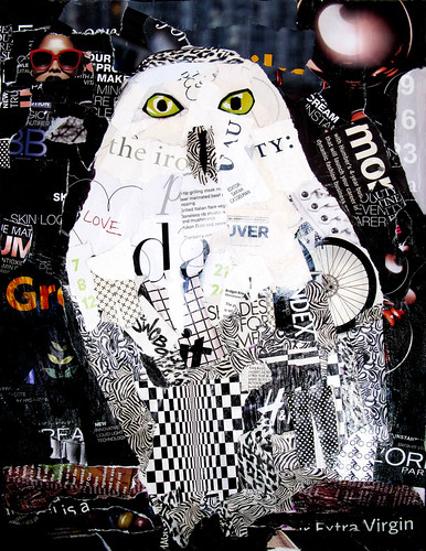 owl-collage