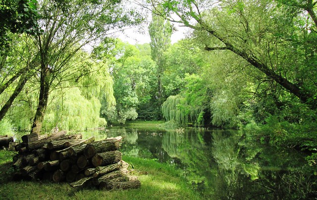 Pond by Broad Oak 1