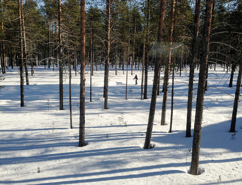 Lapland-7.jpg