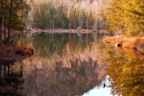 lac lake reflets reflection automne fall autumn chemindulacpoissonblanc