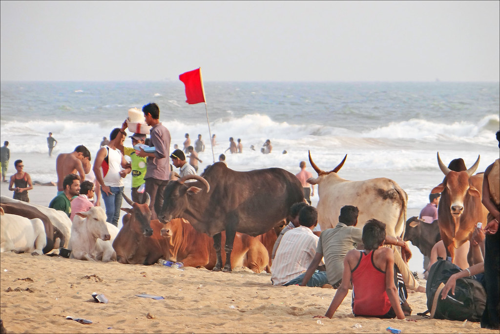 Une plage de Goa (Inde)