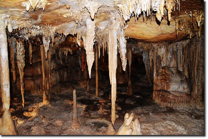 Stalagmites in Lehman Caves 8