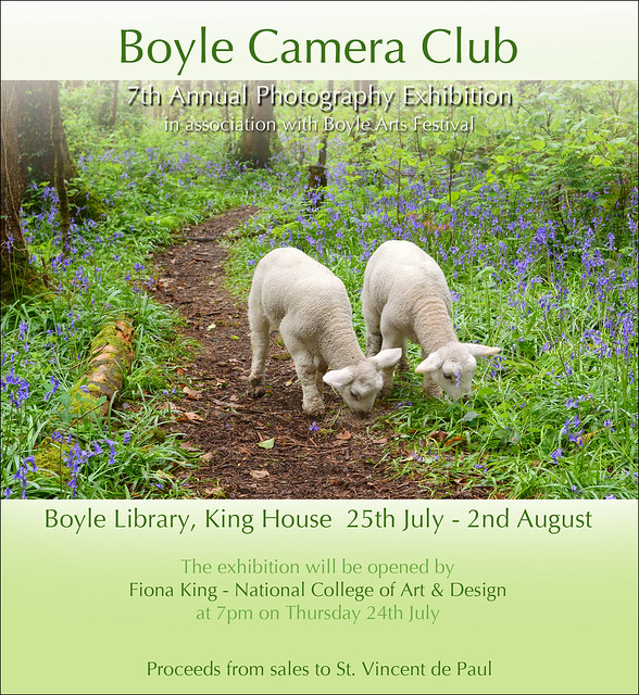 Boyle Camera Club Photography Exhibition 2014 in association with Boyle Arts Festival 25th July - 2nd August