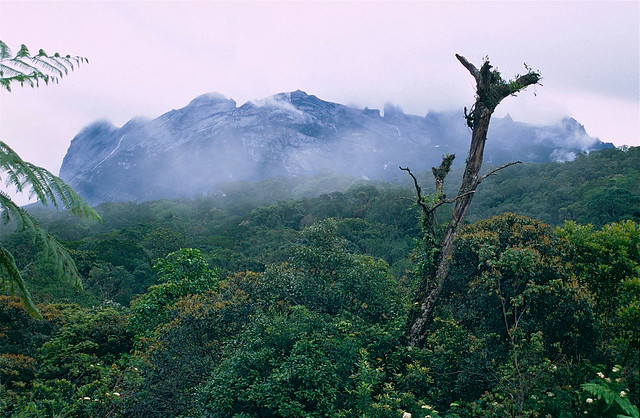 Mount Kinabalu in the morning
