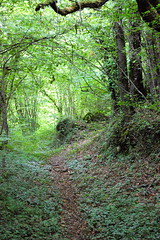Chemin - Photo of Villars-les-Bois