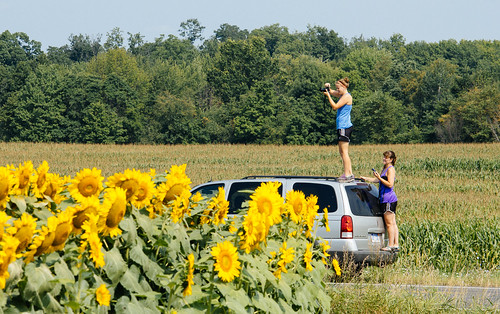 summer woman usa rural person michigan farm unitedstatesofamerica sunny sunflower minivan takingapicture allegan ruralmichigan allegancounty puremichigan cheshirecenter