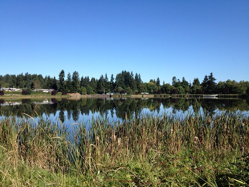 Vernonia Lake with reflections