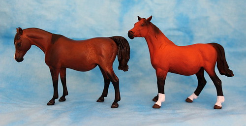 mojo - Walkaround of the 2014 Mojo Fun Arabian Mare in Foal and Comparison with Anna's Resin Version ;)  15061507941_fdb73e6375