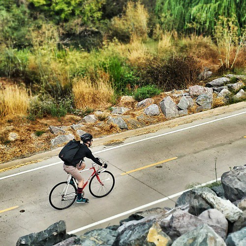 Striped socks on the Guadalupe River Trail  #sanjose #cycling