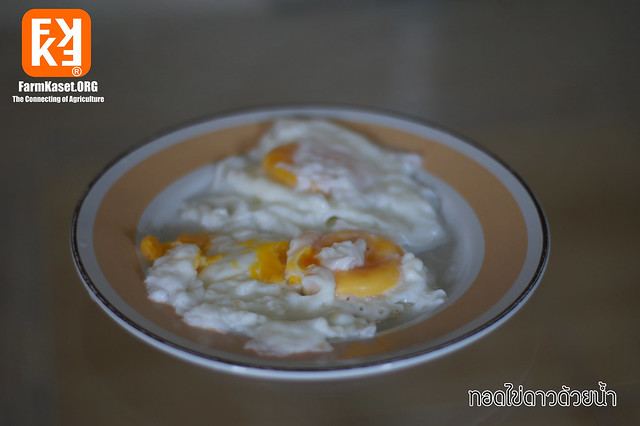 Fried egg with water