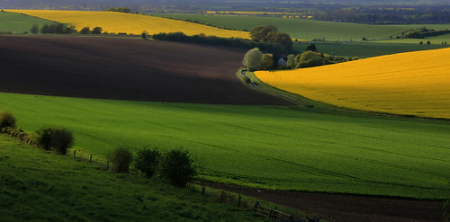 countryside spring fields rapeseed