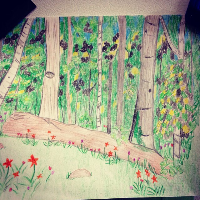 A drawing of the back yard at the rental house