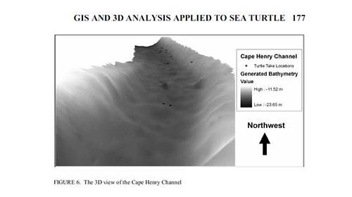GIS能夠分析海洋環境（如海水溫度）和海龜游泳行為之交互作用