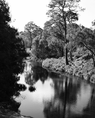 film reflections landscape blackwhite fuji australia nsw newsouthwales ilford ilfordfp4plus berrima fujifilmgf670