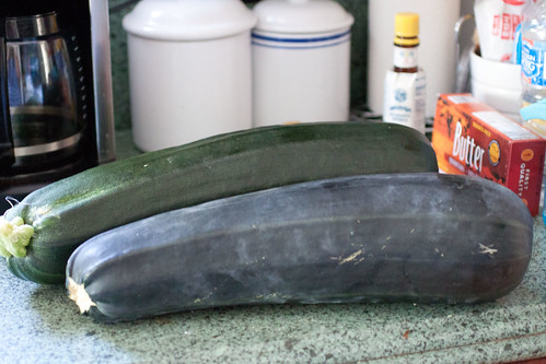 Giant Zucchini