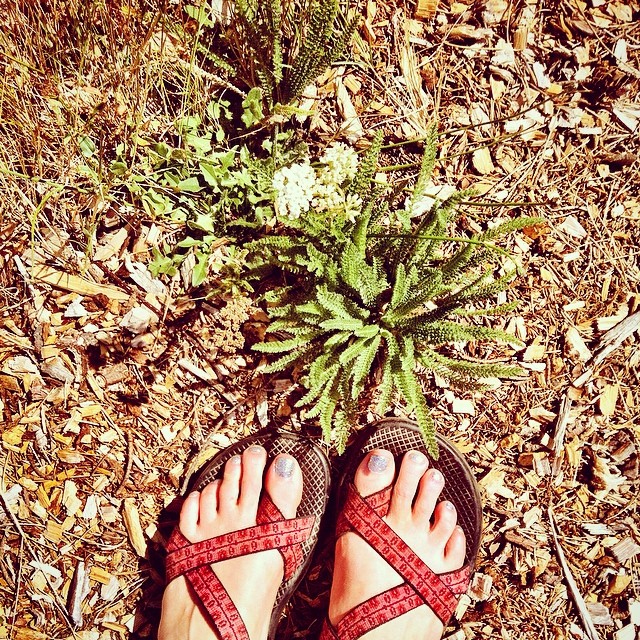 Chacos and glitter polish in nature.