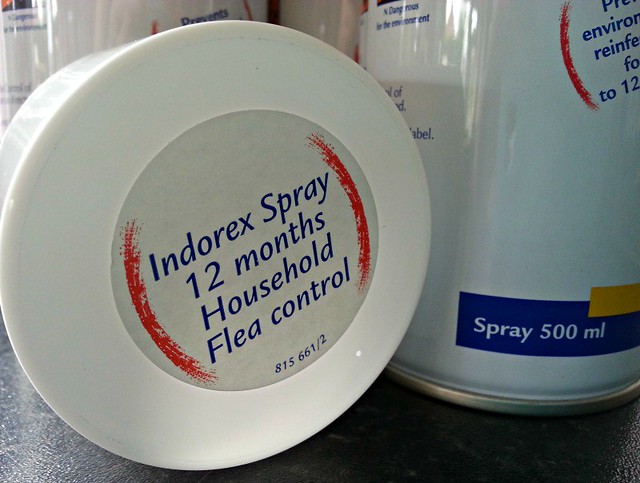 How to get rid of fleas in your home: Indorex flea spray