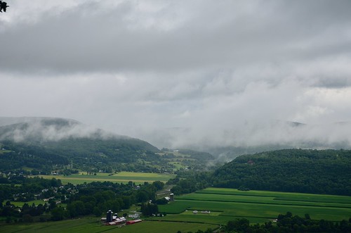 summer ny newyork green nature rain weather clouds insect outdoors nose view farm moth farmland valley schoharie 2014 vronmans