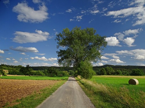 road blue summer sky tree green nature clouds germany landscape deutschland countryside day path harvest meadows fields hesse pwpartlycloudy